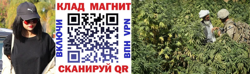 Где можно купить наркотики Сухиничи Галлюциногенные грибы Меф мяу мяу Cocaine ГАШИШ Конопля