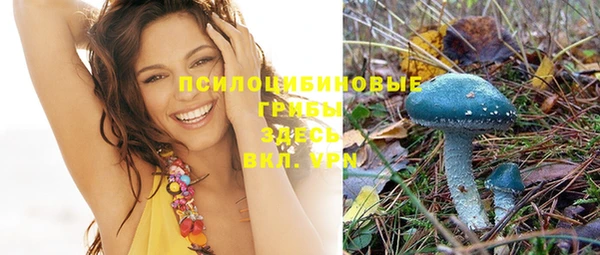 прущая мука Покровск
