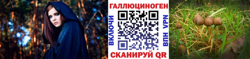 Галлюциногенные грибы GOLDEN TEACHER  KRAKEN ССЫЛКА  Сухиничи 